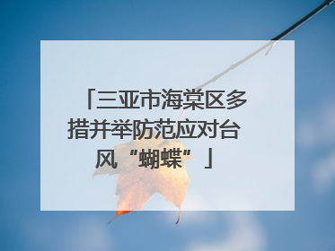 三亚市海棠区多措并举防范应对台风“蝴蝶”