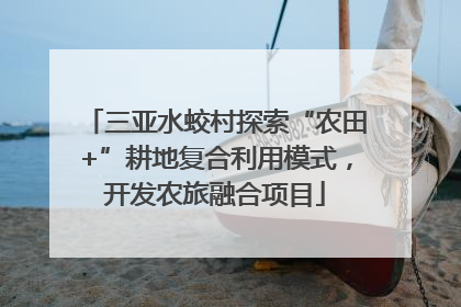 三亚水蛟村探索“农田+”耕地复合利用模式，开发农旅融合项目