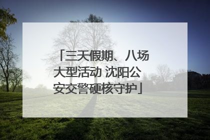 三天假期、八场大型活动 沈阳公安交警硬核守护