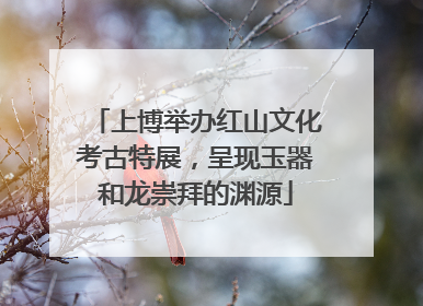 上博举办红山文化考古特展，呈现玉器和龙崇拜的渊源