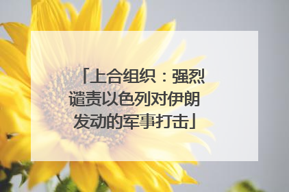 上合组织：强烈谴责以色列对伊朗发动的军事打击
