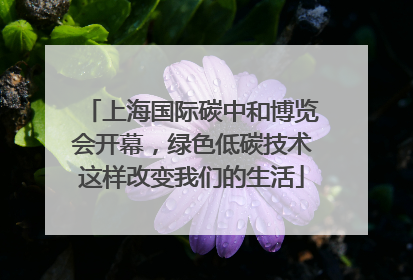 上海国际碳中和博览会开幕，绿色低碳技术这样改变我们的生活