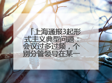 上海通报3起形式主义典型问题：会议过多过频，个别分管领导在某一天同一时段需参加3个会议