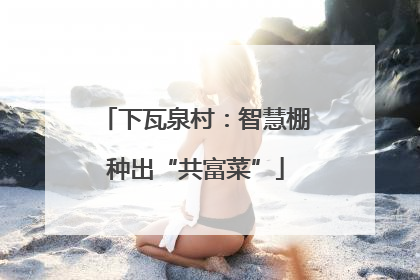 下瓦泉村：智慧棚种出“共富菜”