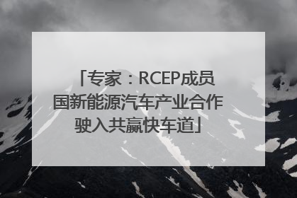 专家：RCEP成员国新能源汽车产业合作驶入共赢快车道