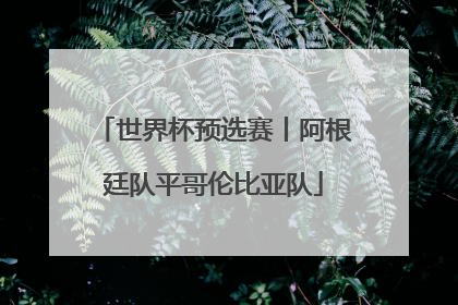 世界杯预选赛丨阿根廷队平哥伦比亚队