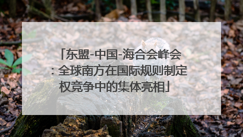 东盟-中国-海合会峰会：全球南方在国际规则制定权竞争中的集体亮相