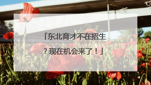 东北育才不在招生？现在机会来了！