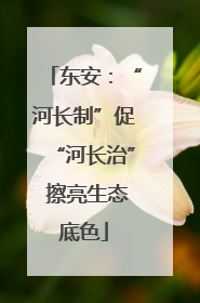 东安：“河长制”促“河长治” 擦亮生态底色