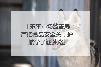 东平市场监管局：严把食品安全关，护航学子逐梦路