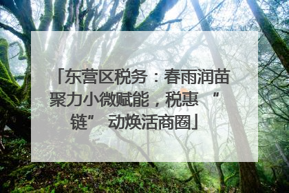 东营区税务：春雨润苗聚力小微赋能，税惠 “链” 动焕活商圈