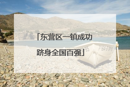 东营区一镇成功跻身全国百强