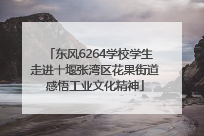 东风6264学校学生走进十堰张湾区花果街道感悟工业文化精神