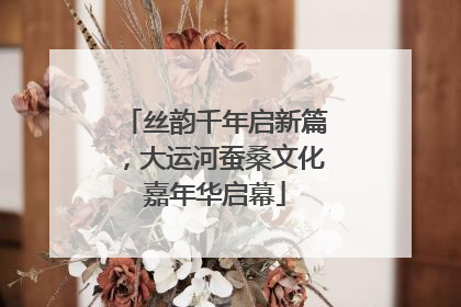 丝韵千年启新篇，大运河蚕桑文化嘉年华启幕