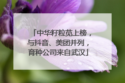 中华籽粒苋上榜，与抖音、美团并列，育种公司来自武汉