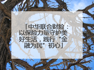 中华联合财险：以保险力量守护美好生活，践行“金融为民”初心
