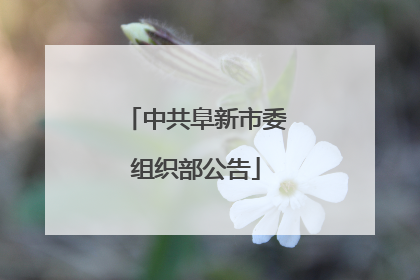 中共阜新市委组织部公告