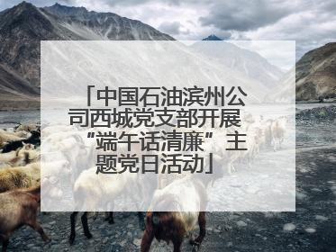 中国石油滨州公司西城党支部开展“端午话清廉”主题党日活动