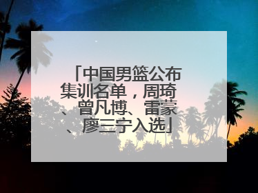 中国男篮公布集训名单，周琦、曾凡博、雷蒙、廖三宁入选