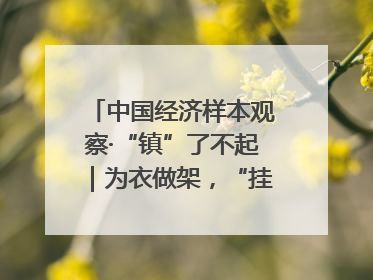 中国经济样本观察·“镇”了不起|为衣做架,“挂”出来的80亿元“衣架产业”