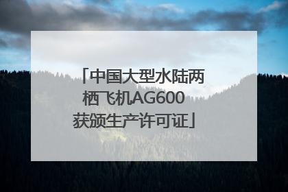 中国大型水陆两栖飞机AG600获颁生产许可证