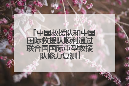 中国救援队和中国国际救援队顺利通过联合国国际重型救援队能力复测