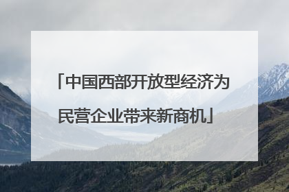 中国西部开放型经济为民营企业带来新商机
