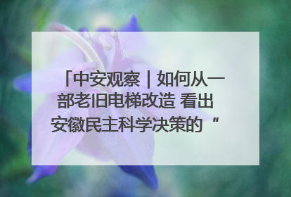 中安观察｜如何从一部老旧电梯改造 看出安徽民主科学决策的“高分秘诀”？
