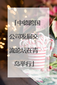 中德跨国公司发展交流论坛在青岛举行