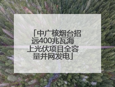 中广核烟台招远400兆瓦海上光伏项目全容量并网发电