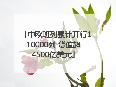 中欧班列累计开行110000列 货值超4500亿美元