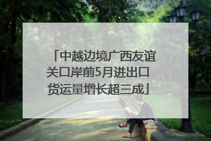 中越边境广西友谊关口岸前5月进出口货运量增长超三成