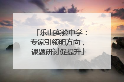 乐山实验中学：专家引领明方向，课题研讨促提升