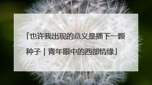 也许我出现的意义是播下一颗种子｜青年眼中的西部情缘