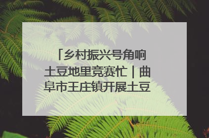 乡村振兴号角响 土豆地里竞赛忙｜曲阜市王庄镇开展土豆收获劳动竞赛