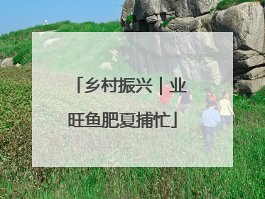 乡村振兴｜业旺鱼肥夏捕忙