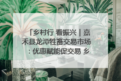 乡村行 看振兴｜嘉禾县龙潭牲畜交易市场：优惠赋能促交易 乡村振兴添动能