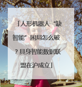 人形机器人“缺智能”困局怎么破？具身智能数据联盟在沪成立