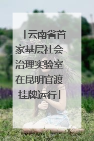 云南省首家基层社会治理实验室在昆明官渡挂牌运行