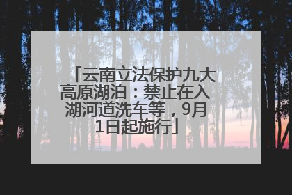 云南立法保护九大高原湖泊：禁止在入湖河道洗车等，9月1日起施行
