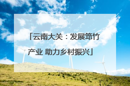 云南大关：发展筇竹产业 助力乡村振兴