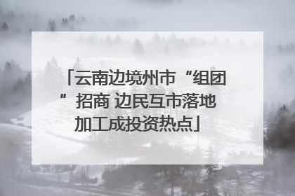 云南边境州市“组团”招商 边民互市落地加工成投资热点
