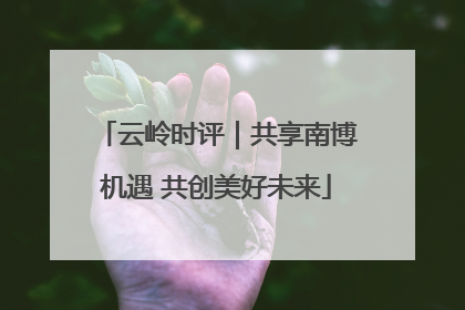 云岭时评｜共享南博机遇 共创美好未来