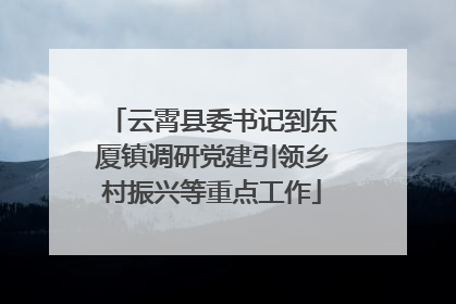 云霄县委书记到东厦镇调研党建引领乡村振兴等重点工作