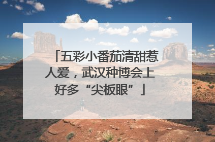 五彩小番茄清甜惹人爱，武汉种博会上好多“尖板眼”