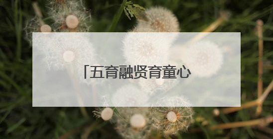 五育融贤育童心，多元考评助成长 乐山县街小学助力学生全面发展