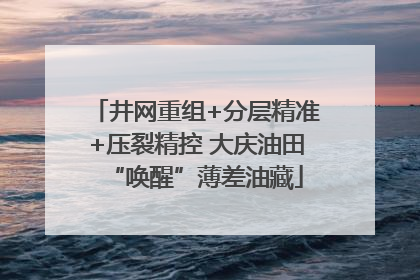 井网重组+分层精准+压裂精控 大庆油田“唤醒”薄差油藏