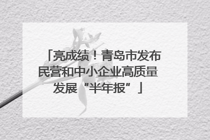 亮成绩！青岛市发布民营和中小企业高质量发展“半年报”