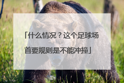 什么情况？这个足球场首要规则是不能冲撞