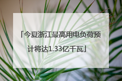 今夏浙江最高用电负荷预计将达1.33亿千瓦
